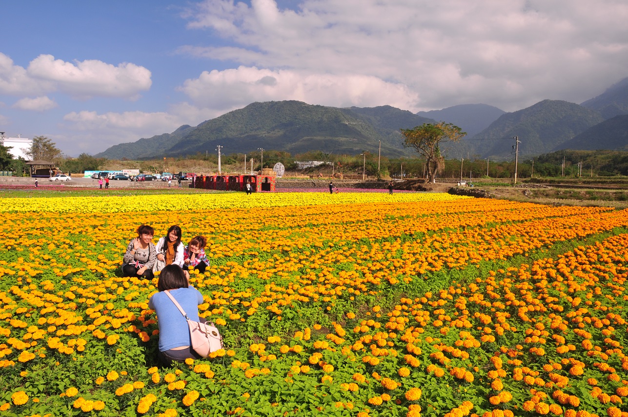 taitung-flower03