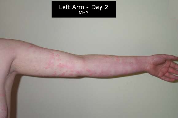 photo credit: woofiegrrl via photopin cc