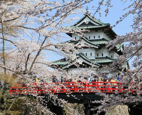 弘前公園（青森縣弘前市）