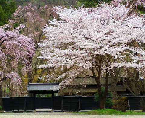 角館（秋田縣仙北市）