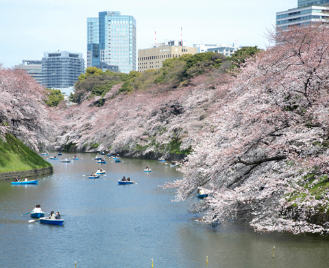 千鳥淵綠道（東京都千代田區）