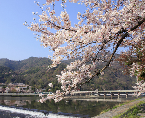嵐山（京都市右京區）