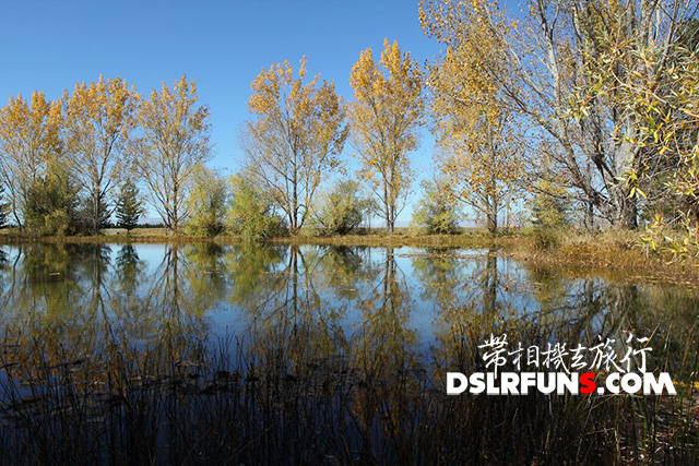 lake-tekapo-church (6)