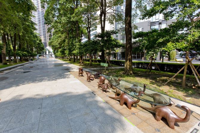 Museum of Natural Science (10)