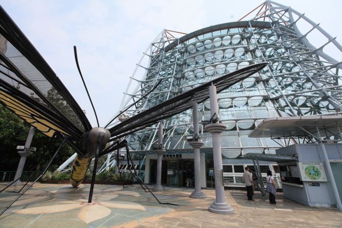 Museum of Natural Science (5)