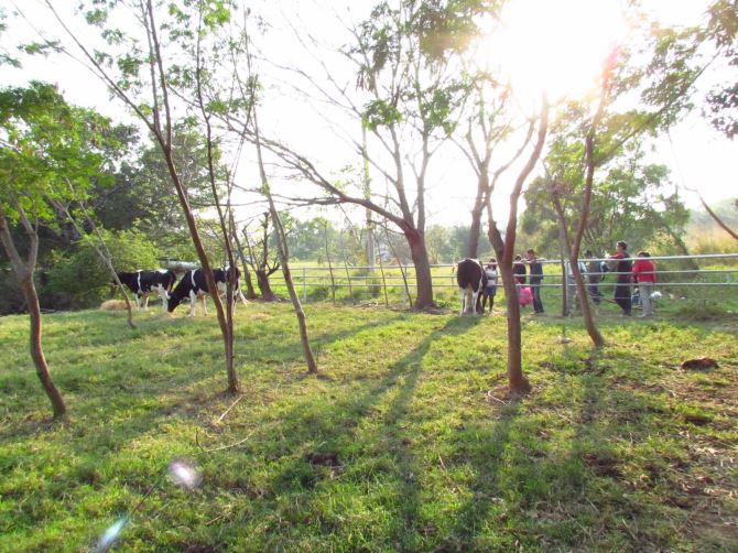 tunghai-luce-chapel (4)